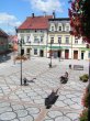 Rynek w Leśnej latem 2010 roku - fotoreportaż